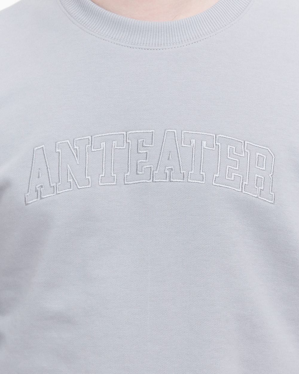 Купить Толстовка Anteater Crewneck BigText серая Толстовка Anteater Crewneck BigText серая
