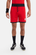 Теннисные шорты HYDROGEN MESH TECH SHORTS  (D00012-406)