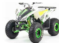 Квадроцикл MOTOLAND 125 COYOTE (2021 Г.)