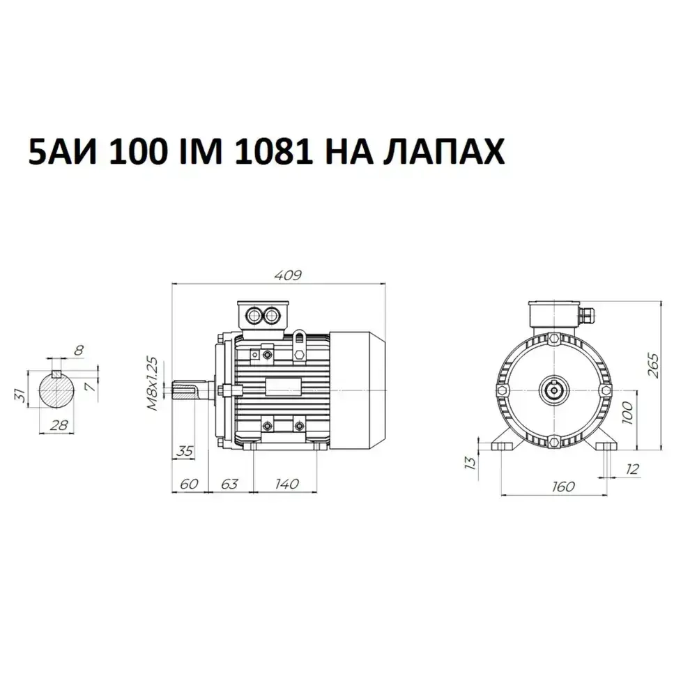 Электродвигатель трехфазный 5АИ 100 S2 IM 1081 4 кВт/3000 об.мин