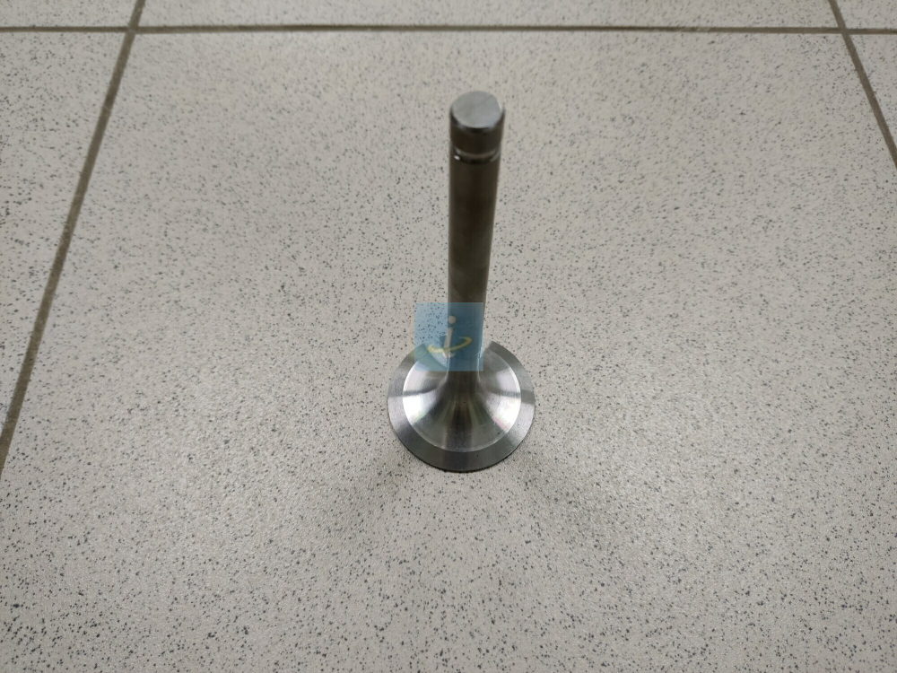 Клапан впускной 236-1007010-В2