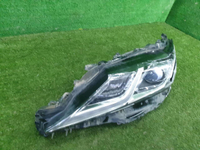 20230414_151126.jpg