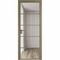 Алюминиевая дверь 14AG шампань остеклённая