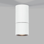 Накладной светодиодный светильник Elektrostandard Sens 25042/LED белый