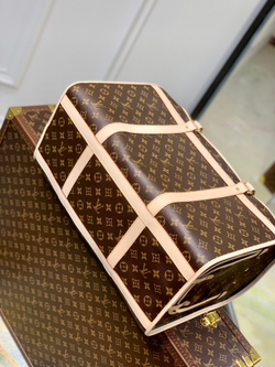 Louis Vuitton Dog Bag 50 cm
