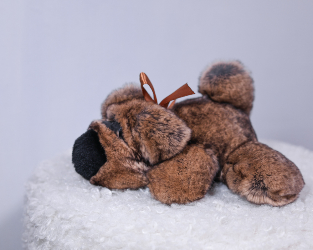 Собака Шанель маленькая (коричневая)