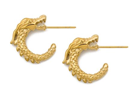 Серьги-кольца "Дракон" 18,5мм (сталь)