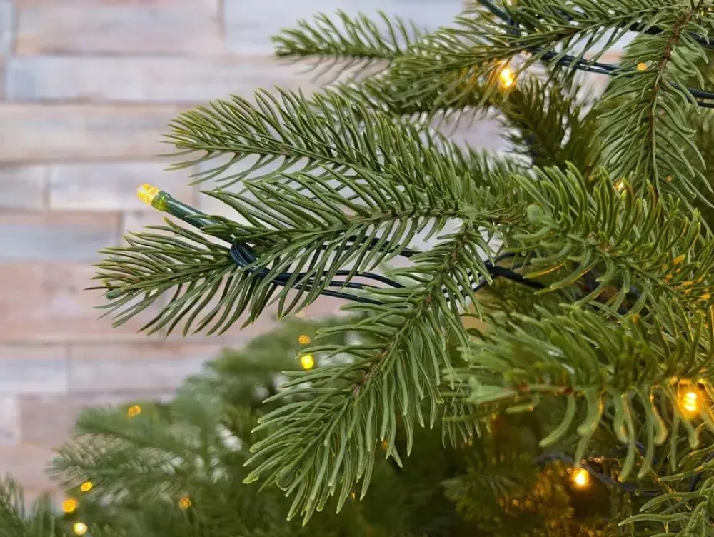 Ель Дворянская 230 см., 504 LED лампы, 100% Литая хвоя, Black Box (74563)