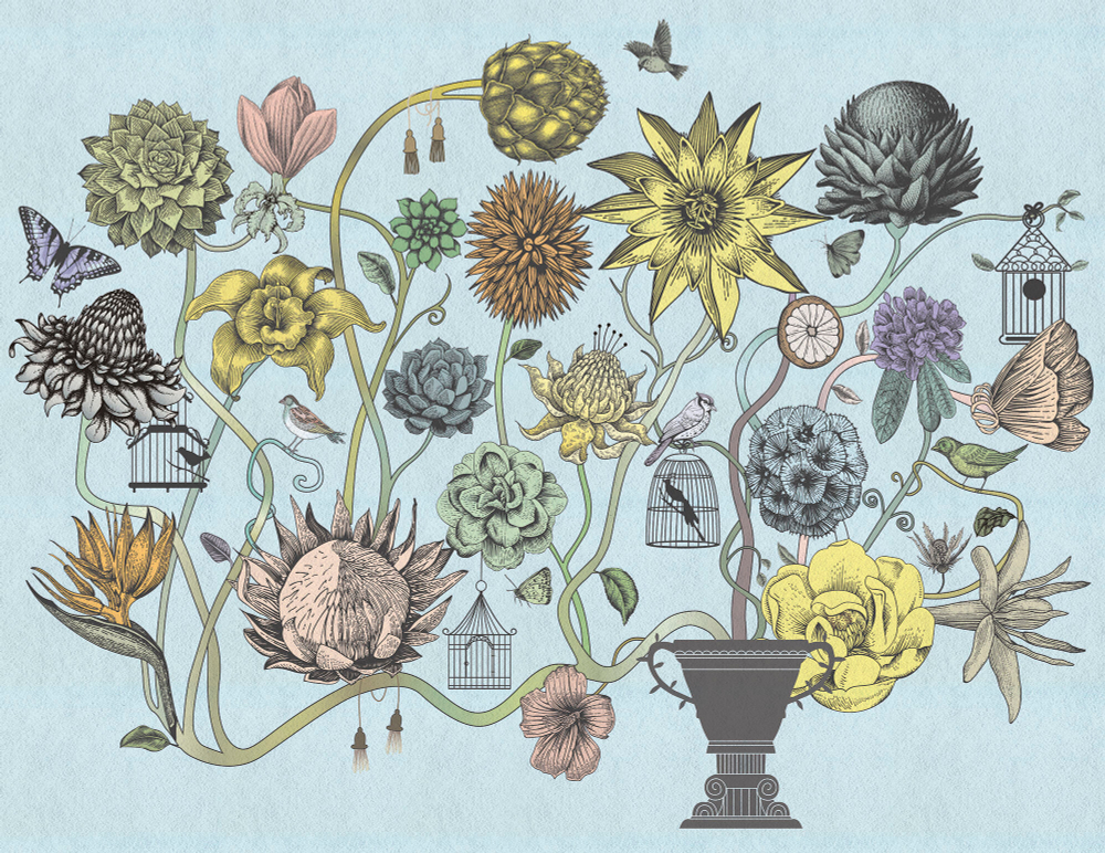 Коллекция Grafika Natura