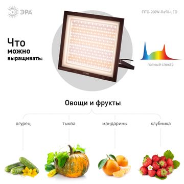 Фито прожекторы