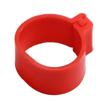 Кольцо для маркировки птиц