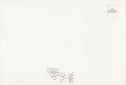 The Story of a Girl in the Forest. Post Card. Coloring Book