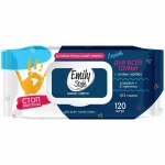 Салфетки влажные ДЛЯ ВСЕЙ СЕМЬИ АНТИБАКТЕРИАЛЬНЫЕ с крышкой 120шт (М) Emily Style ЛАЙТ