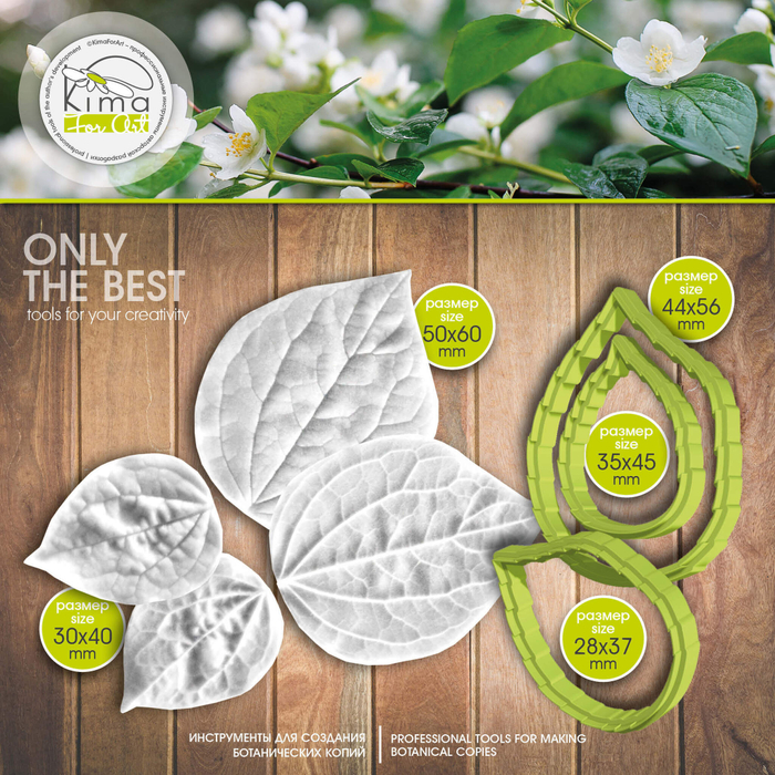 Жасмин листья