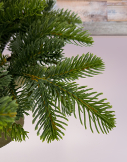 Ель таежная 45см Black Box зеленая