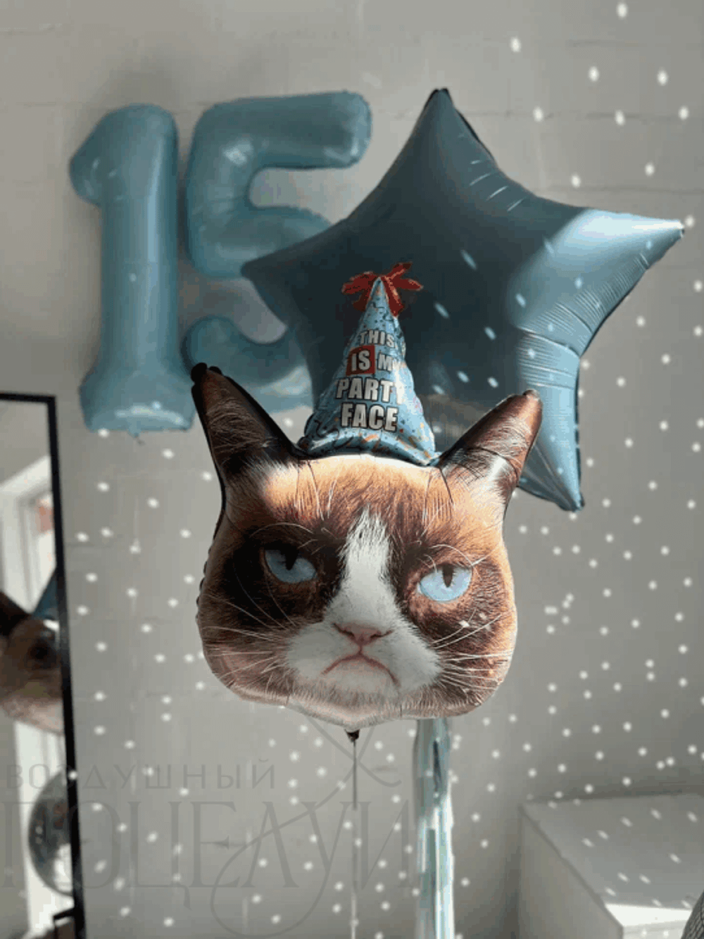 Набор №2 "Сердитый праздничный кот"