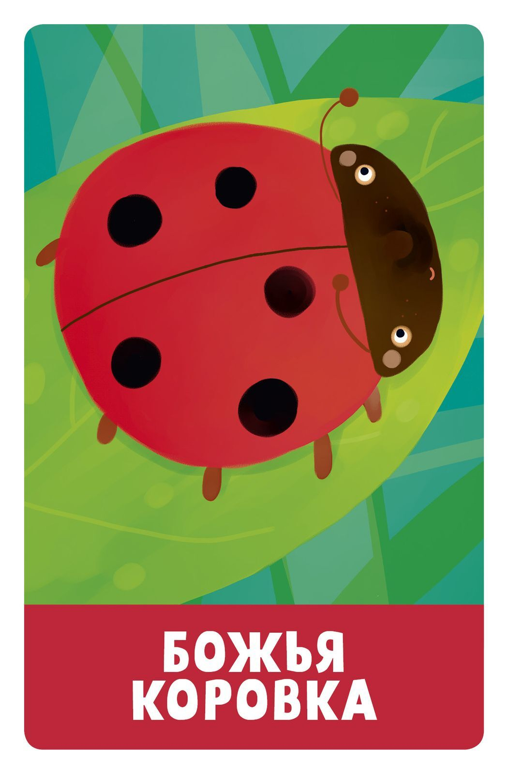 Первые слова. Мой мир. 100 слов