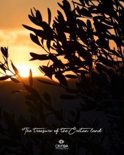 Оливковое масло Critida Oliеna Supеrrior Catеgory, 0,5 л, Греция