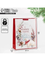 Подарочный пакет новогодний большой