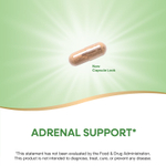 Nature's Way, ADRENergize, для здоровья надпочечников, 50 веганских капсул