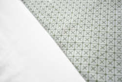 ЗАРОЖДЕНИЕ