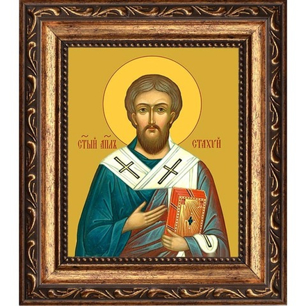 Стахий Святой апостол, епископ Византийский. Икона на холсте.