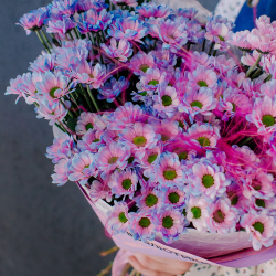 141. Стойкий необычный букет из двуцветной сантини