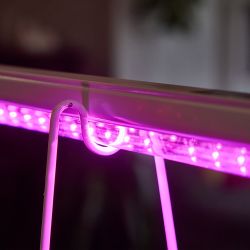 ULI-P43-35W-SPBX IP40 WHITE Светильник для растений светодиодный линейный. 1150мм. выкл. на корпусе. Алюминий. Спектр с дальним красным для рассады и досвечивания в период роста. TM Uniel