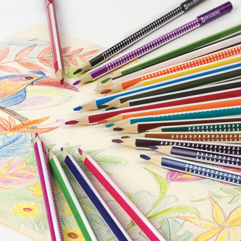 Карандаши цветные BRAUBERG "БАБОЧКИ", 24 цвета, трехгранные заточенные, корпус с полосками