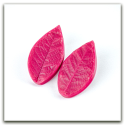 Листья черёмухи средние