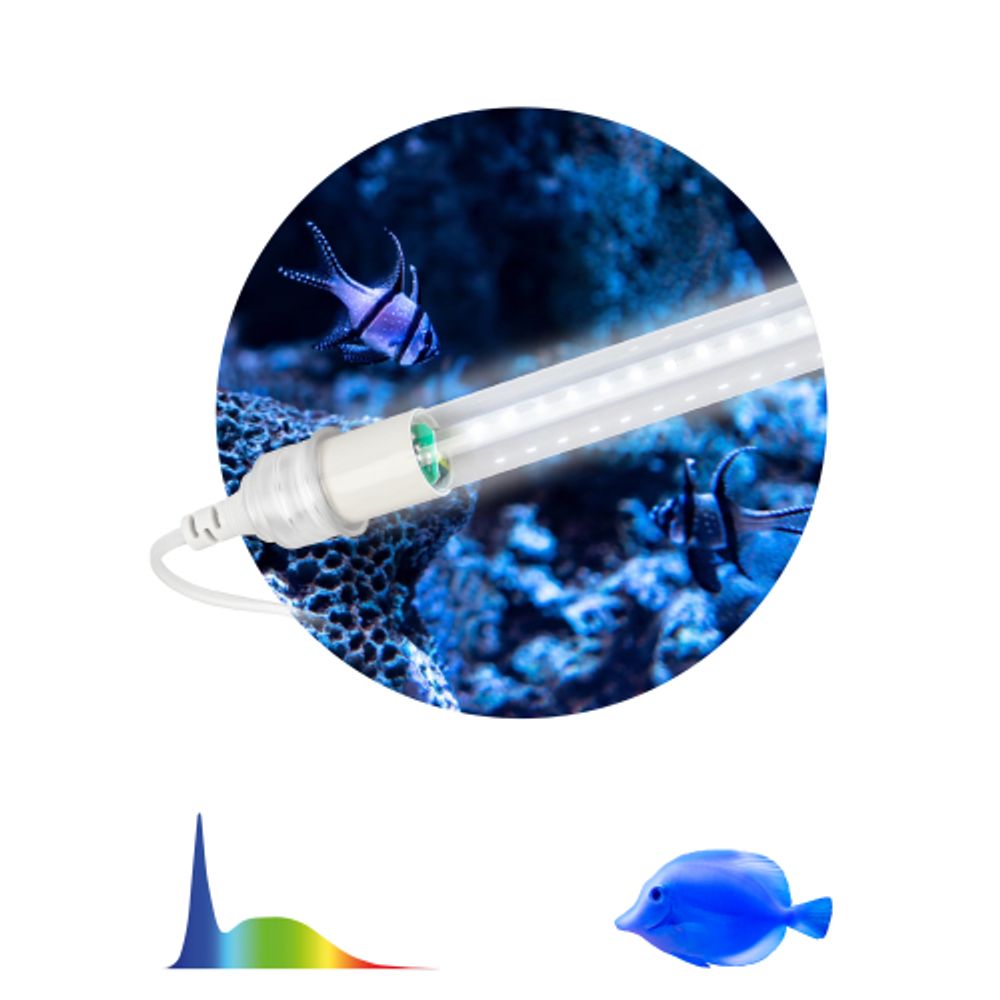 Фитолампа для растений светодиодная ЭРА FITO-10W-Ra90-Т8-AQUA для аквариума, 10 Вт, полный спектр | Фитолампы T8