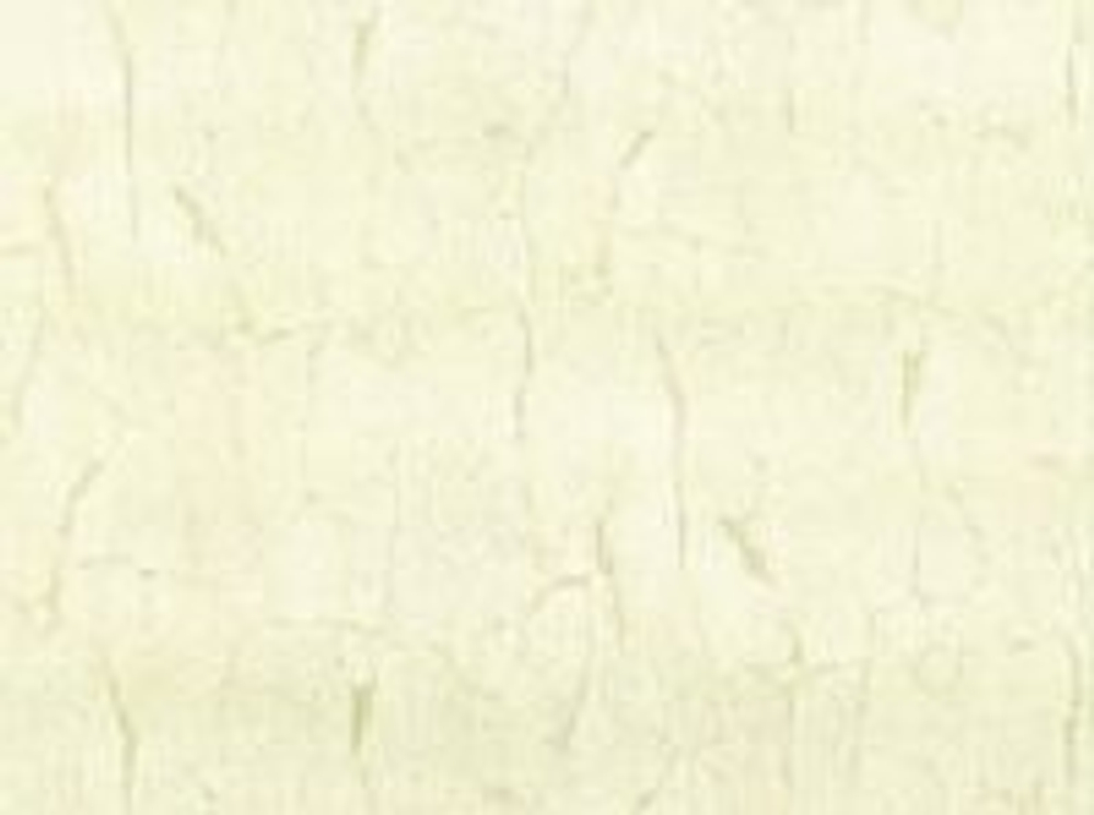 R 23311 Обои Fipar (Felicita) (1*6) 10,05х1,06 винил на флизелине