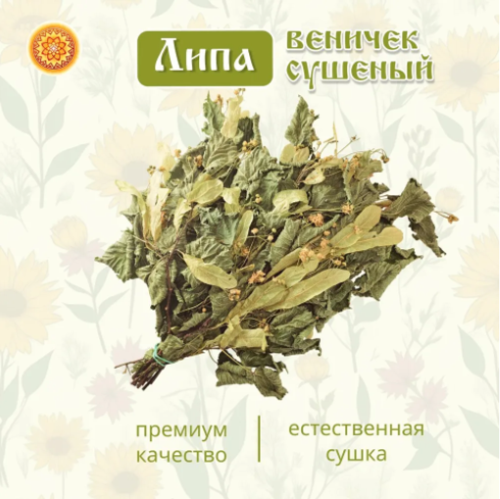 Липа веничек, 1 шт. ЛИПЧ-00-001
