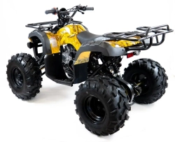 Квадроцикл MOTAX ATV Grizlik Super LUX 125 сс