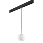 Трековый светильник Lightstar Pentola PRO803040