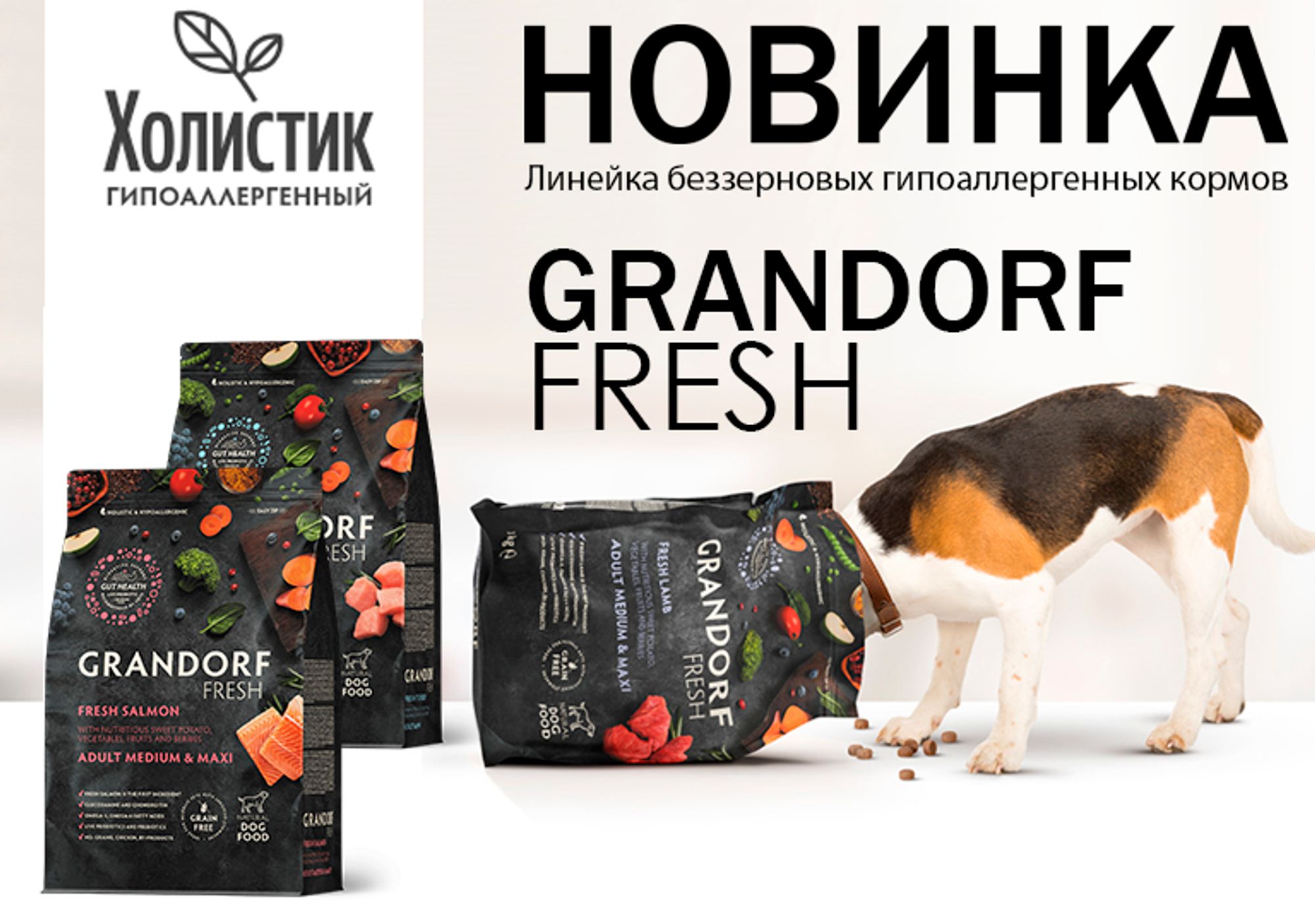 Зоофилка блог 
