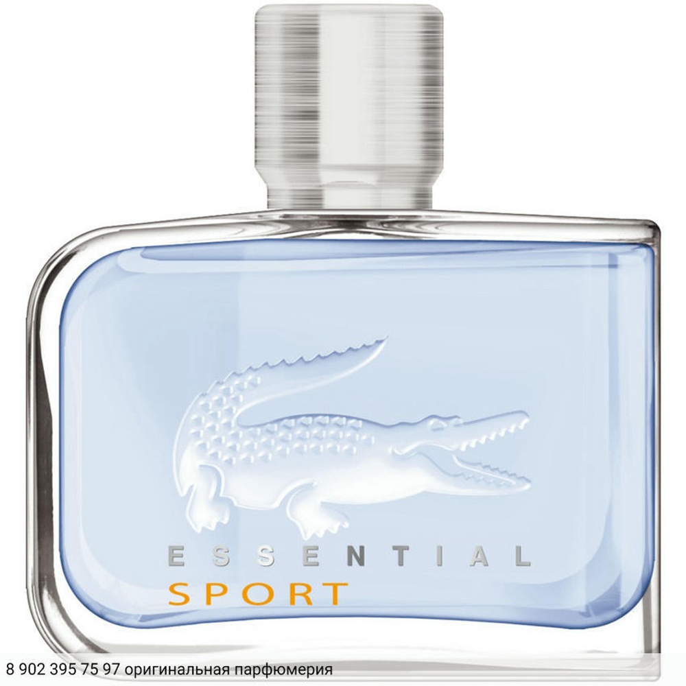 Essential Sport
