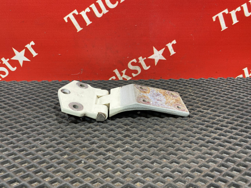 Петля двери 2020г