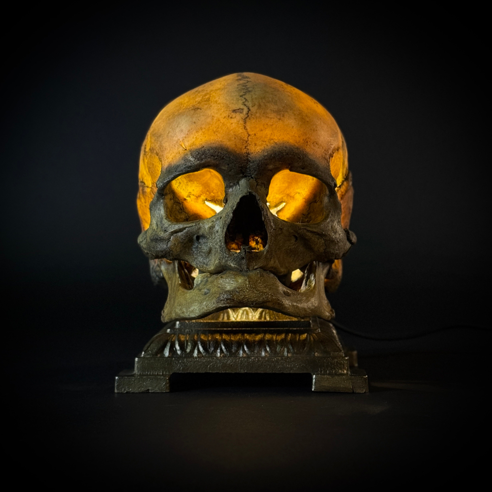 Ночник «Don Lucky»