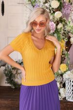 Джемпер Др3-480/2 Wisell (Акция)