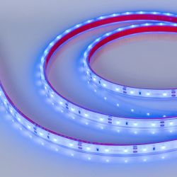 Светодиодная лента герметичная RTW-PFS-A60-11mm 12V Blue (4.8 W/m, IP68, 2835, 5m) (Arlight, -) 034012