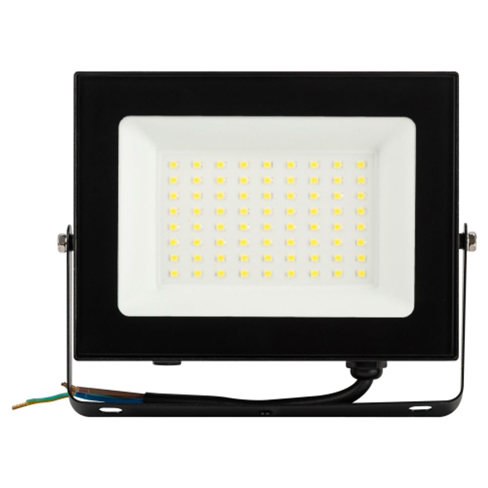 Прожектор светодиодный уличный ЭРА PRO LPR-062-0-65K-070 70Вт 6500K IP65 призма гарантия 3 года