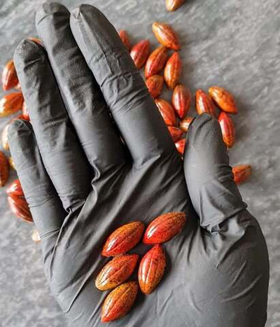 Поликарбонатная форма для шоколада №914