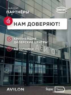 Масло цепное Sintec Garden Timber 1л