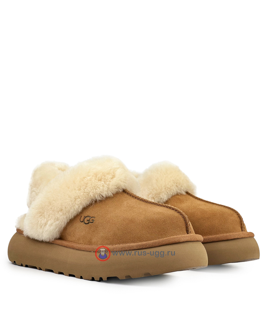 SLIPPERS DISQUETTE Chestnut