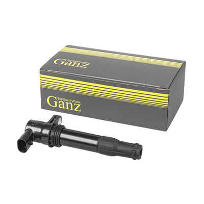 Катушка зажигания Land Rover Freelander 2.5 V6 00-, Rover 75 2.0/2.5 GANZ GIG16240