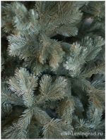 Ель голубая искусственная «Бордо» (Литая хвоя) 240 см / 2.4 м