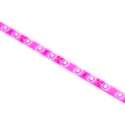 Светодиодная лента для растений ЭРА FITO-Strip Light-RB-2m красно-синего спектра, 2 м, IP65 с адаптером 12V в комплекте | Светодиодные ленты для растений