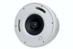 CVGAUDIO CS608TW Подвесная двухполосная колонка