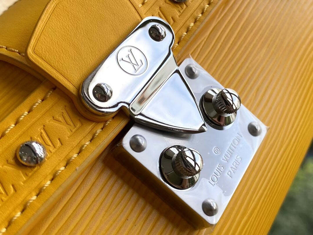 Louis Vuitton Papillon Trunk